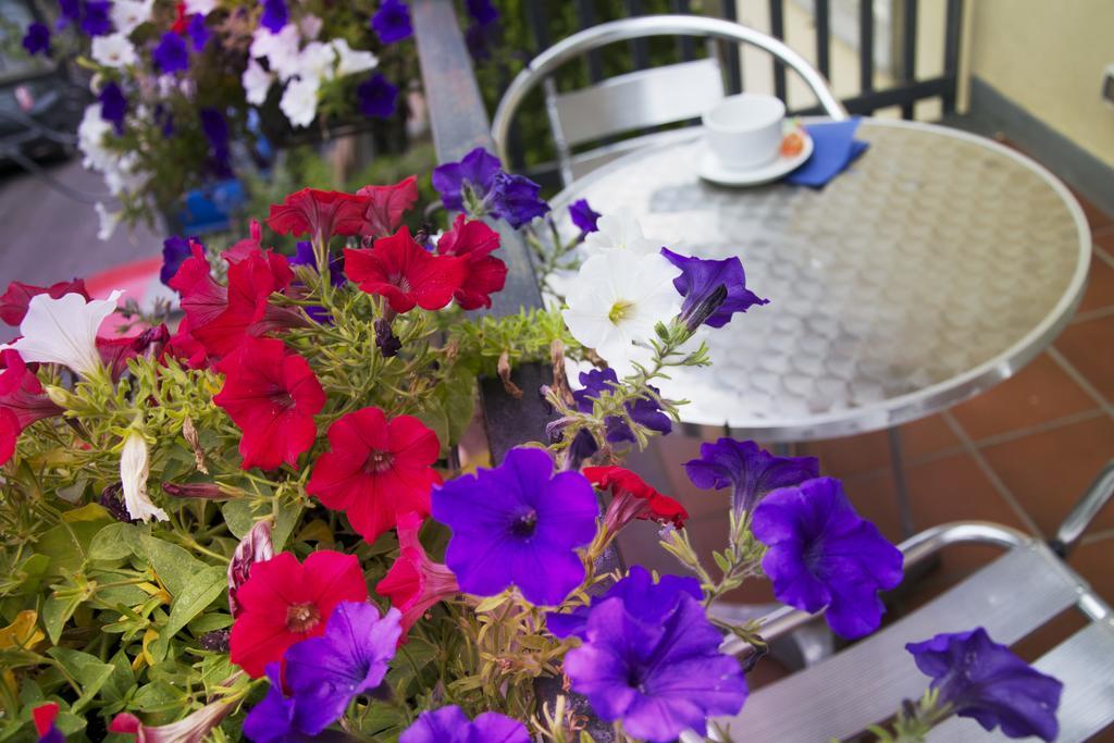 B&B Notti E Dintorni Nicolosi Rum bild